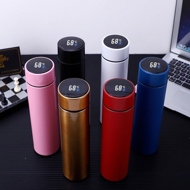 Temperature Display Thermos Water Bottle 500 ML (Random Colour)