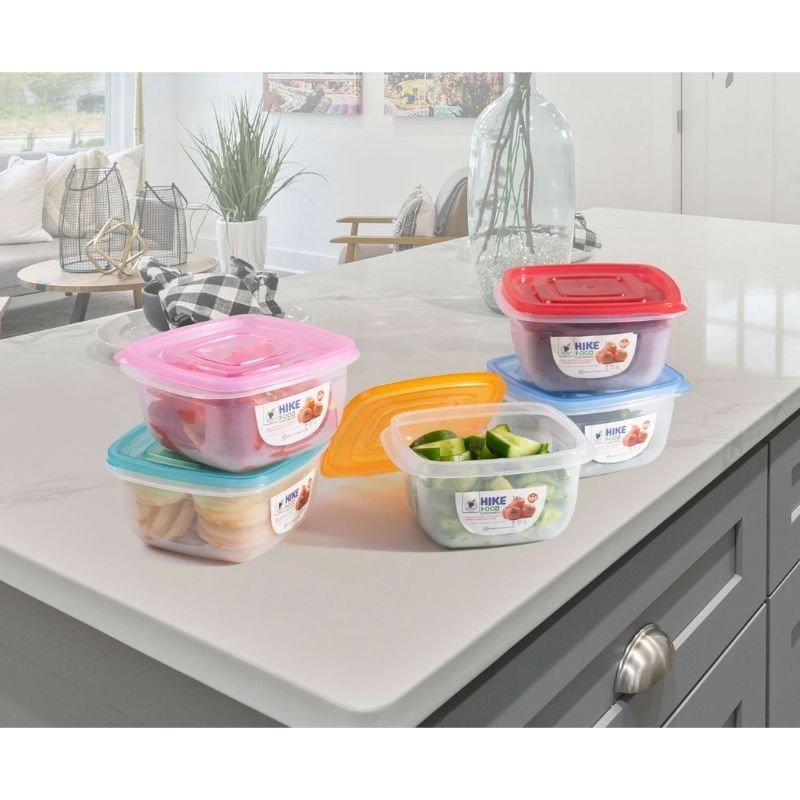 Berry Hike Food Container Pack of 4 (Random Colour)