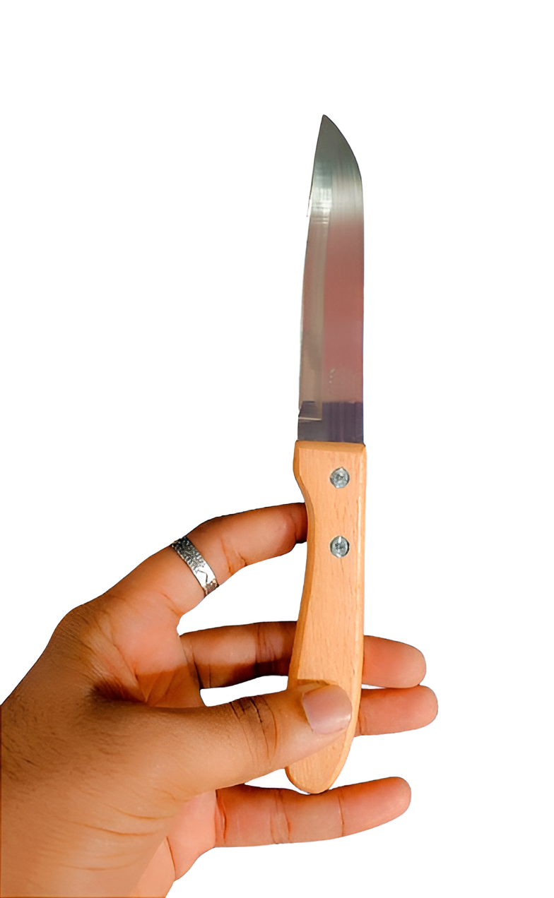 Stainless Steel Kitchen Knife with Wooden Plain Handle