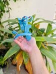 mobile-phone-stand-holder-flexible-and-power-full-grip-360-degree-rotating-mobile-stand-bedside-able-lazy-snake-mobile-phone-holderrandom-color – 1
