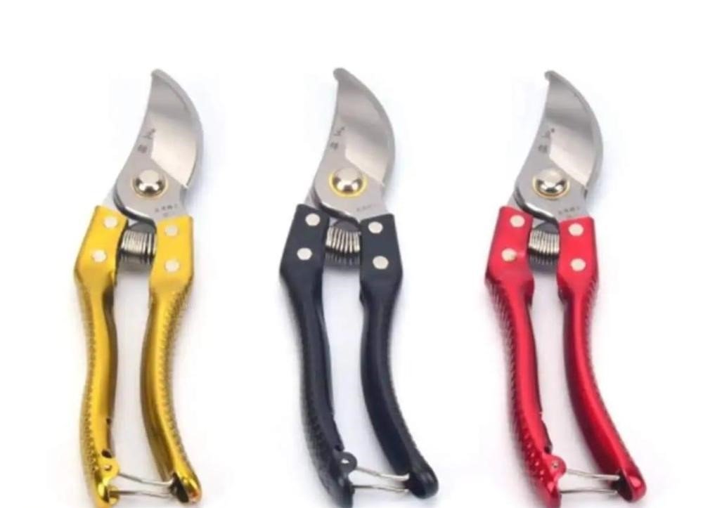 MZ55900034GALXY-media-1